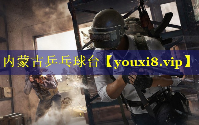 内蒙古乒乓球台
