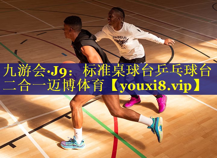 九游会·J9：标准桌球台乒乓球台二合一迈博体育