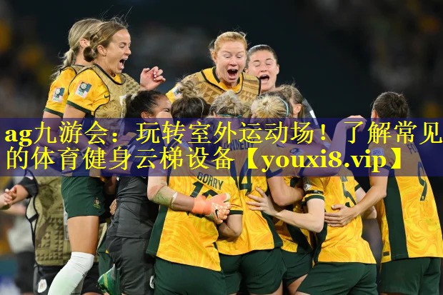 ag九游会：玩转室外运动场！了解常见的体育健身云梯设备