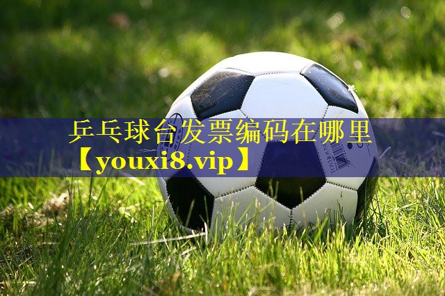 乒乓球台发票编码在哪里